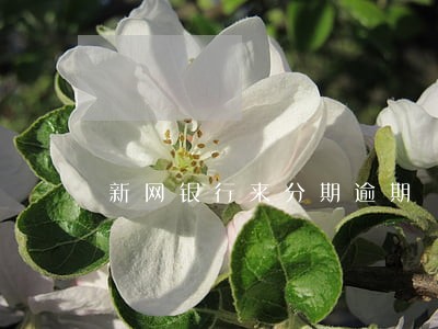 新网银行来分期逾期 新网银行来分期逾期