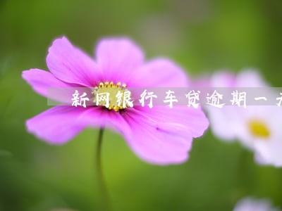 新网银行车贷逾期一天怎么办 新网银行车贷逾期一天怎么办