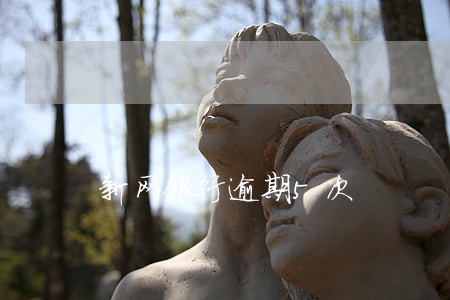 新网银行逾期5次 新网银行逾期5次