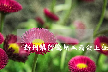 新网银行逾期三天会上征信吗 新网银行逾期三天会上征信吗