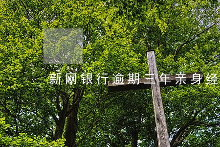 新网银行逾期三年亲身经历最新 新网银行逾期三年亲身经历最新