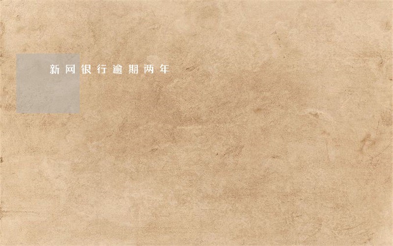新网银行逾期两年