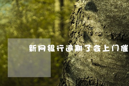 新网银行逾期了会上门催收吗 新网银行逾期了会上门催收吗