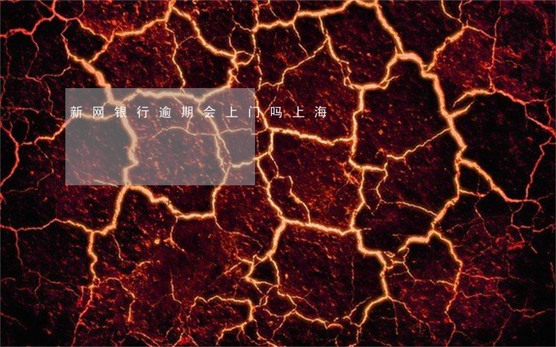 新网银行逾期会上门吗上海
