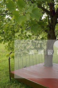 新网银行逾期催收 新网银行逾期催收