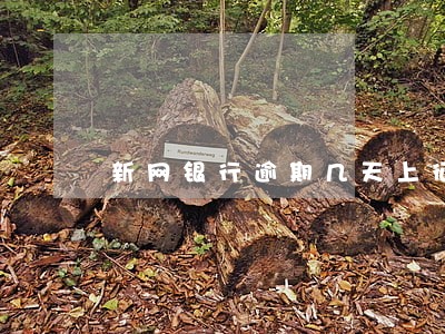 新网银行逾期几天上征信 新网银行逾期几天上征信