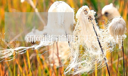 新网银行逾期十天会怎么样 新网银行逾期十天会怎么样