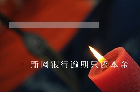 新网银行逾期只还本金 新网银行逾期只还本金