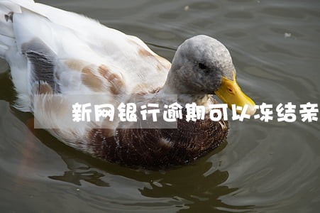 新网银行逾期可以冻结亲属银行卡 新网银行逾期可以冻结亲属银行卡