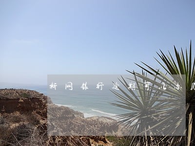 新网银行逾期可以办几年分期吗