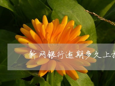新网银行逾期多久上报 新网银行逾期多久上报