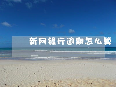 新网银行逾期怎么算 新网银行逾期怎么算