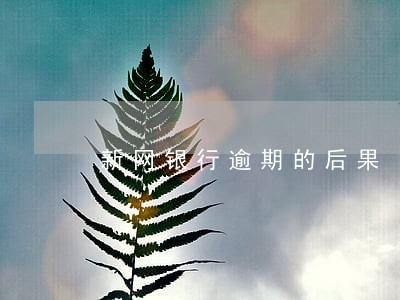 新网银行逾期的后果 新网银行逾期的后果