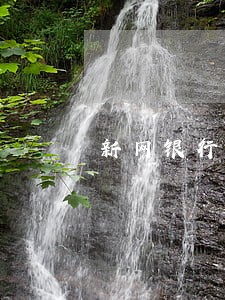 新网银行逾期要上门咋办 新网银行逾期要上门咋办