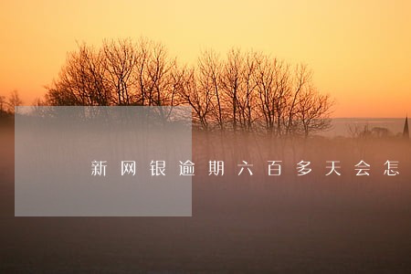 新网银逾期六百多天会怎么样 新网银逾期六百多天会怎么样