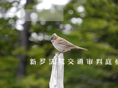 新罗法院交通审判庭情况介绍 新罗法院交通审判庭情况介绍