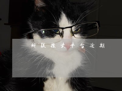 新联投资平台逾期 新联投资平台逾期