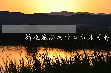 新股逾期用什么方法可补救 新股逾期用什么方法可补救