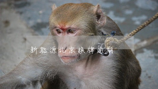 新能源北京换牌逾期 新能源北京换牌逾期