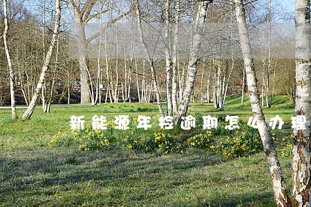新能源年检逾期怎么办理 新能源年检逾期怎么办理
