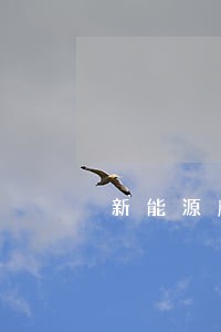 新能源牌逾期未办理怎么办 新能源牌逾期未办理怎么办