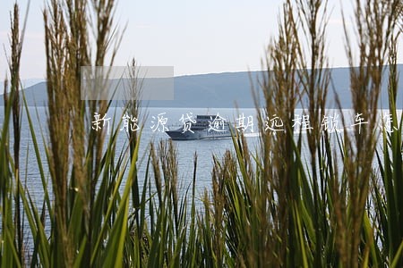 新能源贷逾期远程锁车怎么解除 新能源贷逾期远程锁车怎么解除
