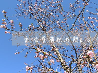 新至尊借款逾期60多天 新至尊借款逾期60多天