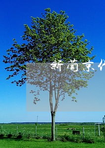 新葡京代理违法吗 新葡京代理违法吗