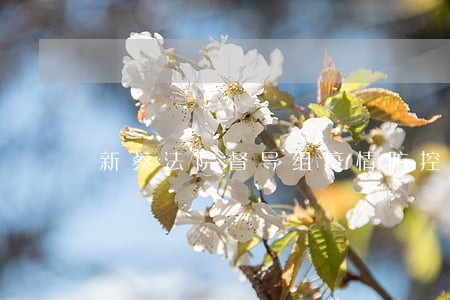 新蔡法院督导组疫情防控工作记实 新蔡法院督导组疫情防控工作记实