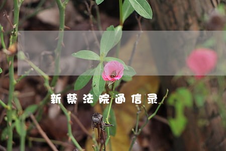 新蔡法院通信录 新蔡法院通信录