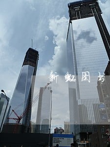新虹图书逾期费能减免吗 新虹图书逾期费能减免吗