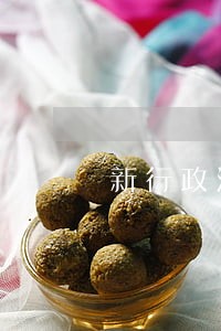 新行政法和依宪行政论述 新行政法和依宪行政论述