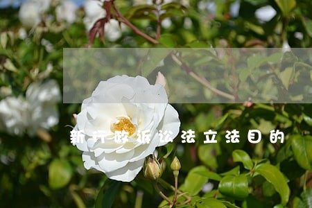 新行政诉讼法立法目的 新行政诉讼法立法目的