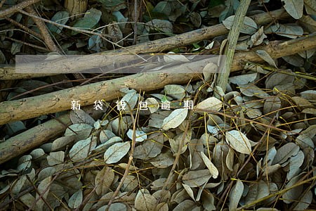 新袋钱包逾期 新袋钱包逾期