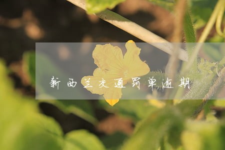 新西兰交通罚单逾期 新西兰交通罚单逾期