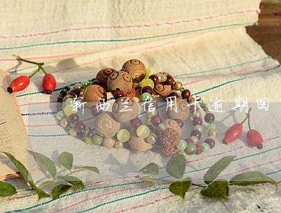 新西兰信用卡逾期回国 新西兰信用卡逾期回国