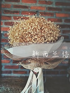 新西兰信用卡逾期对澳洲的影响