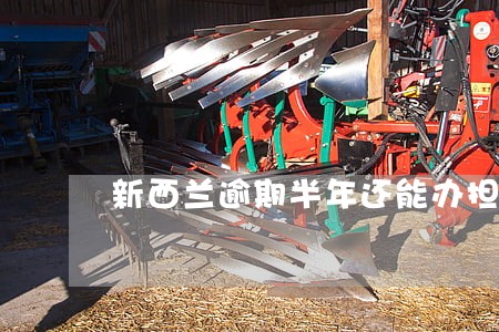新西兰逾期半年还能办担保工签吗 新西兰逾期半年还能办担保工签吗
