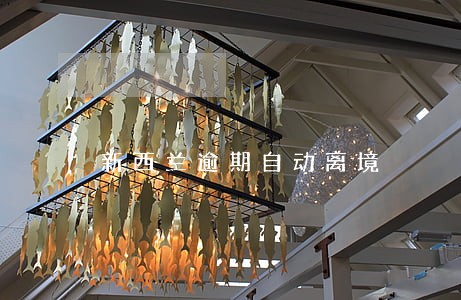 新西兰逾期自动离境 新西兰逾期自动离境