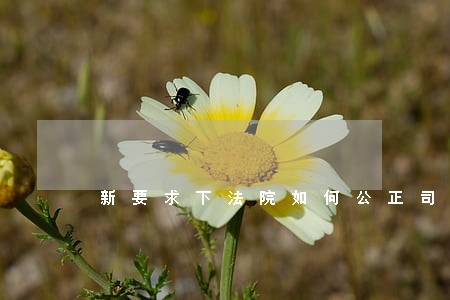 新要求下法院如何公正司法 新要求下法院如何公正司法