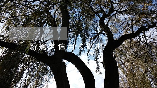 新规定信用卡逾期 新规定信用卡逾期