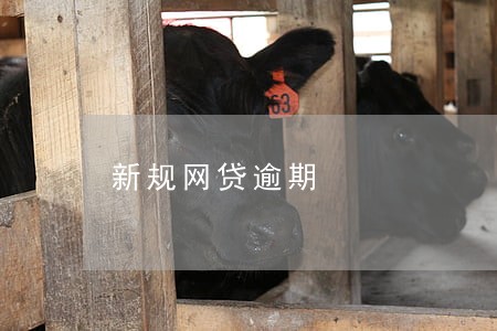 新规网贷逾期