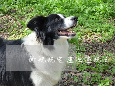 新规规定违法违规三年内不让借壳 新规规定违法违规三年内不让借壳