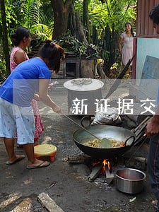 新证据交法院哪个部门 新证据交法院哪个部门