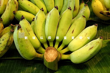 新诉讼司法鉴定中心 新诉讼司法鉴定中心