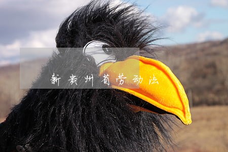 新贵州省劳动法 新贵州省劳动法