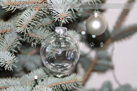 新贷联盟逾期公告 新贷联盟逾期公告