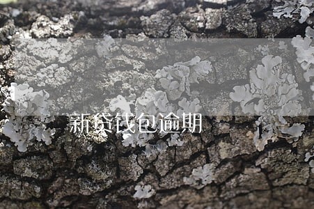 新贷钱包逾期 新贷钱包逾期