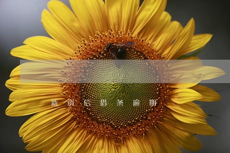 新资信借条逾期 新资信借条逾期