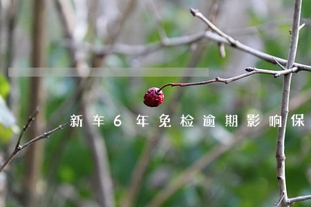 新车6年免检逾期影响保险吗